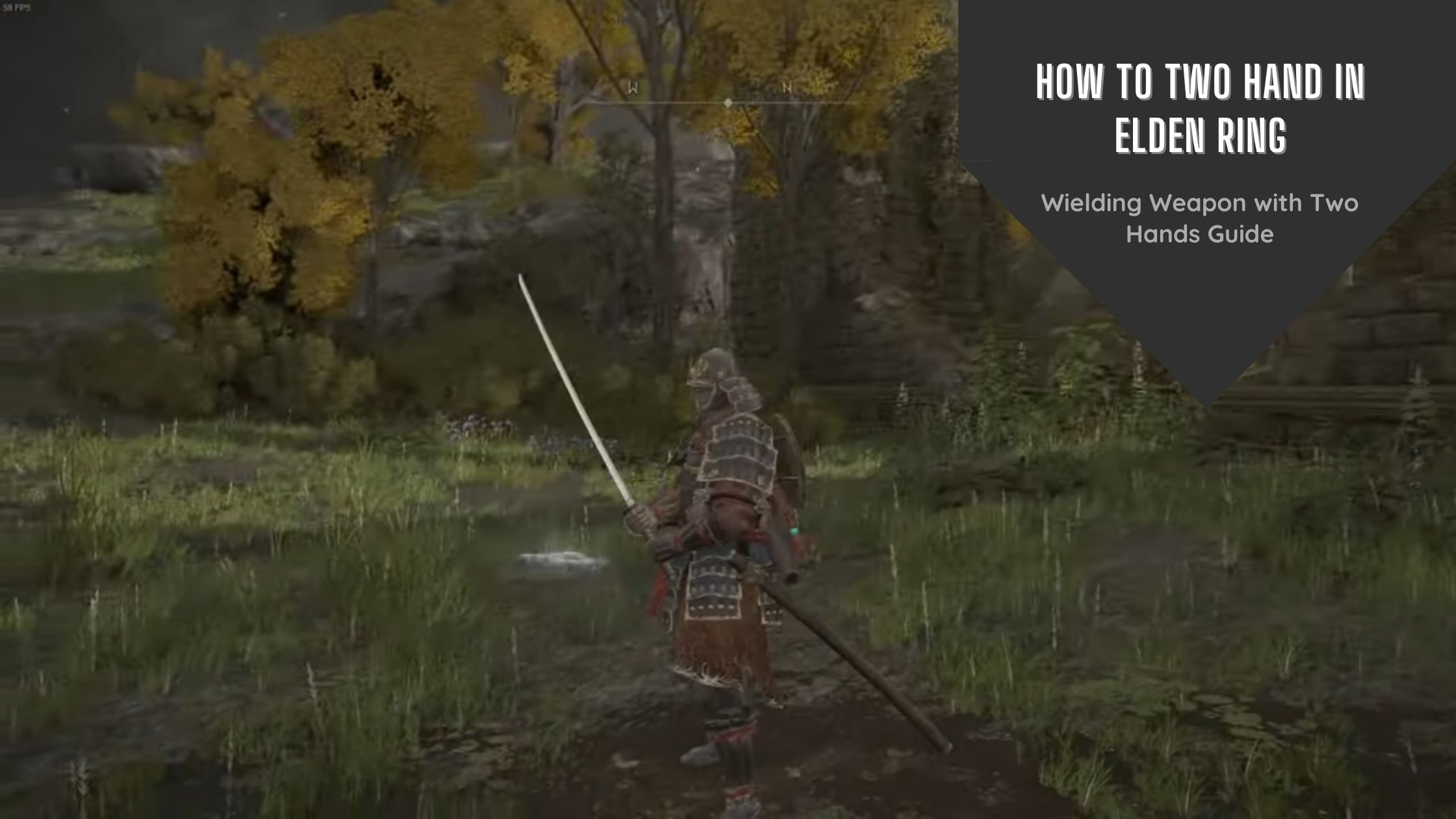 Elden Ring: How to 2-Hand Weapons