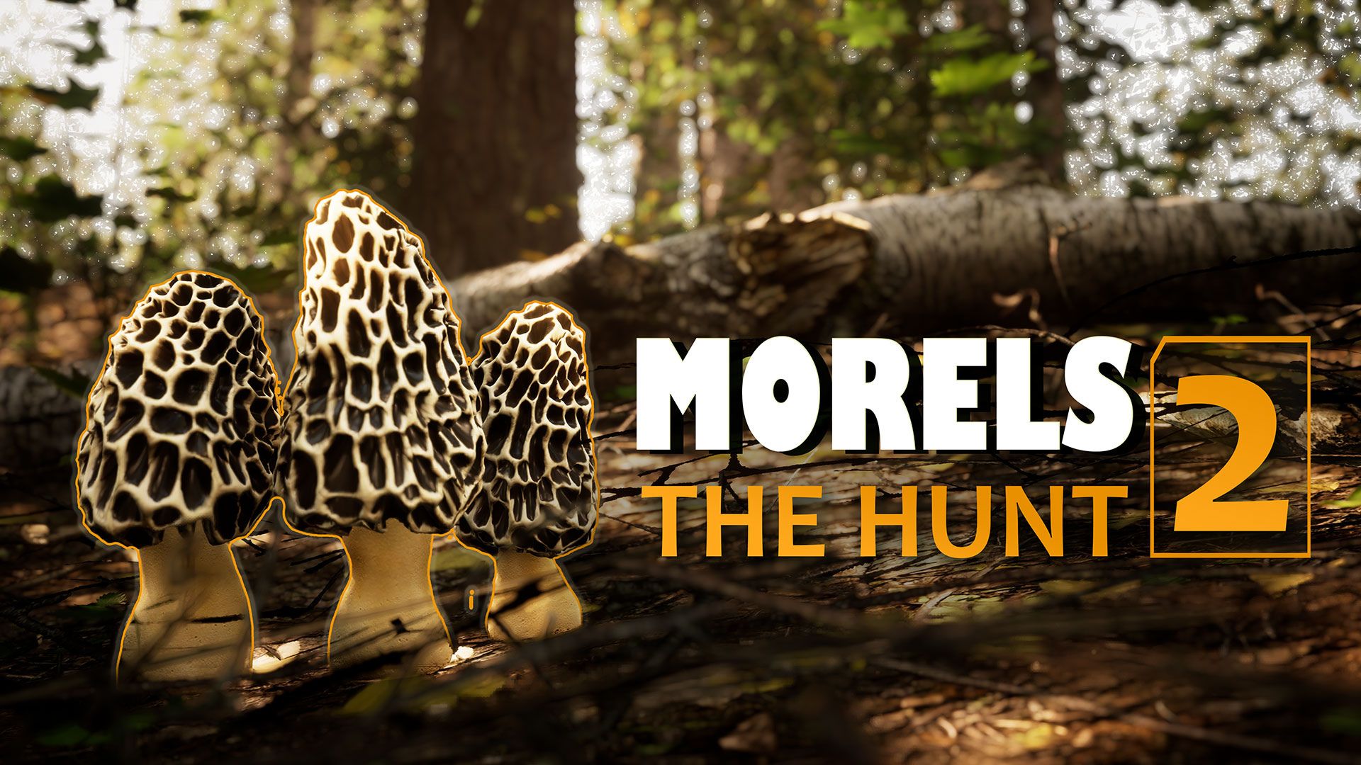 Interview Morels The Hunt 2 Was Inspired By Real Life Experience Of